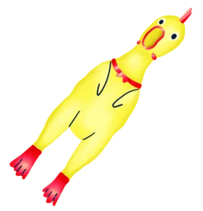 pollo de goma